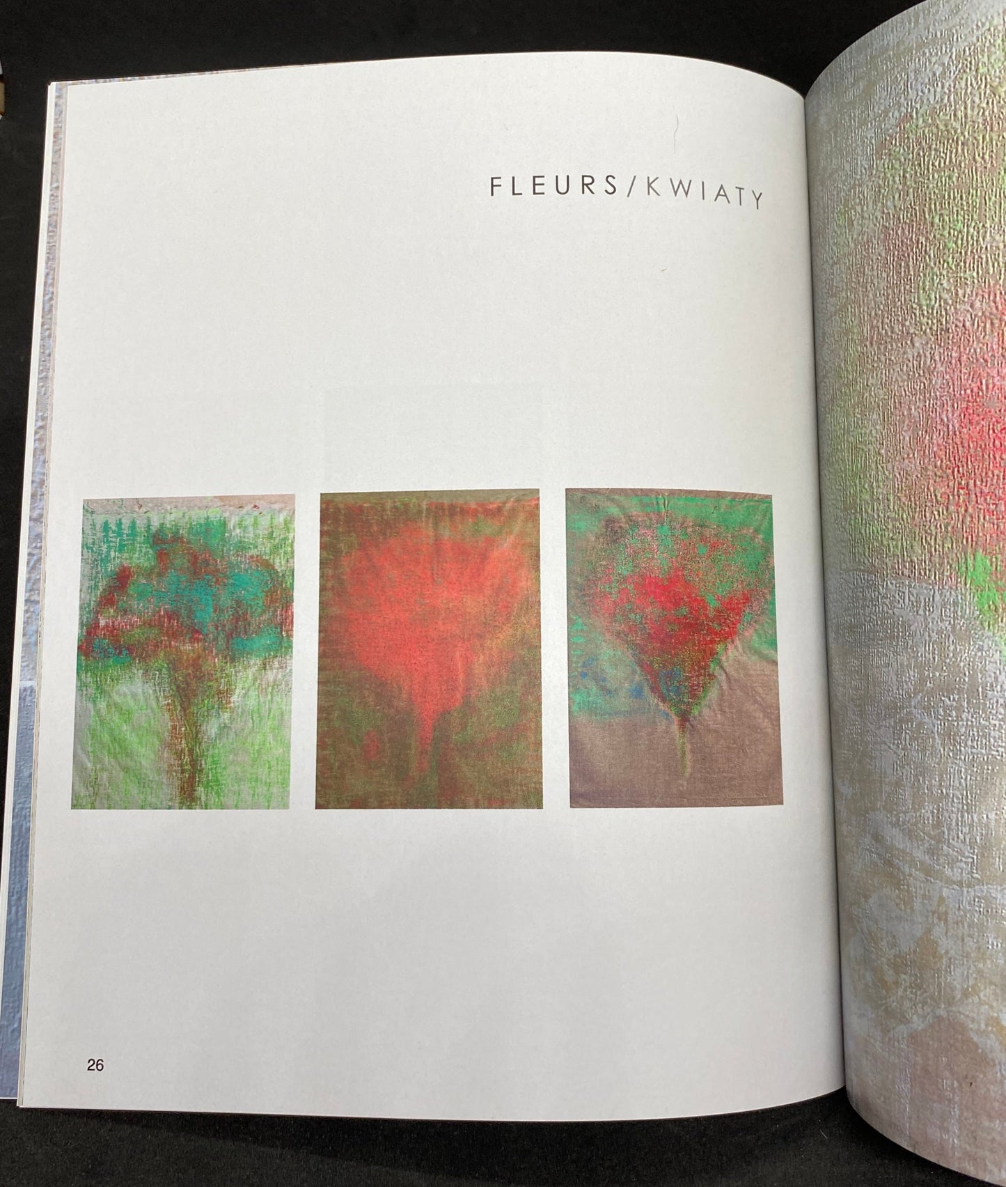 MARIAN KASPERCZYK - BACK TO FRONT PAINTINGS