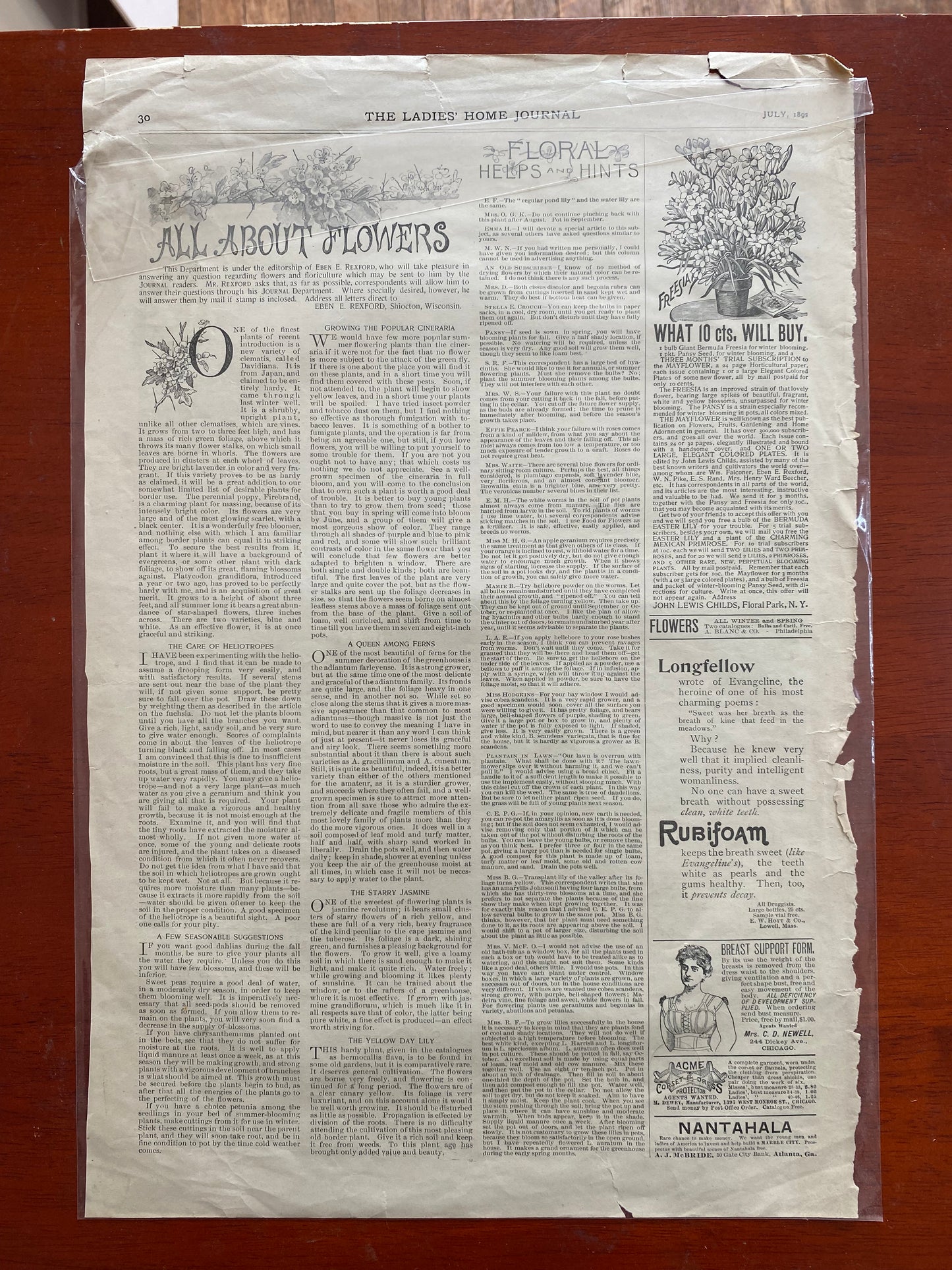 THE LADIES HOME JOURNAL JULY 1892 PAGE