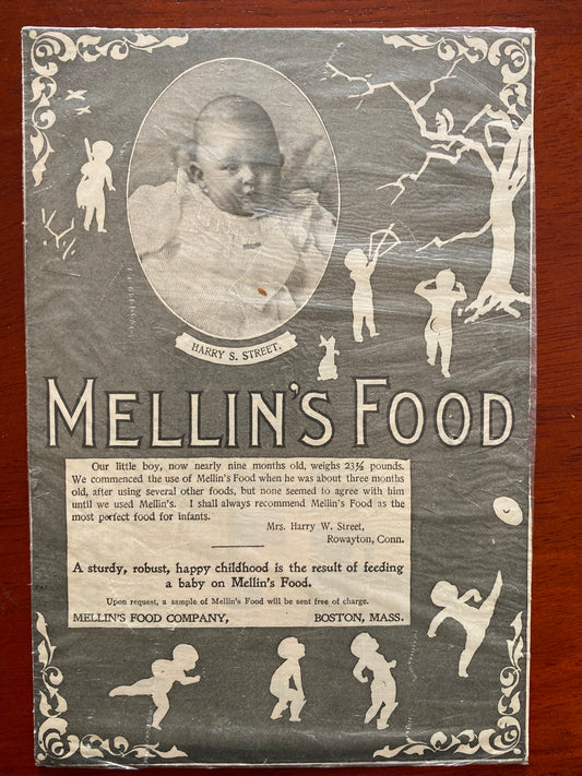 MELLIN'S FOOD AD